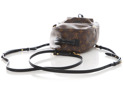 Louis Vuitton Mini Monogram Palm Springs Backpack