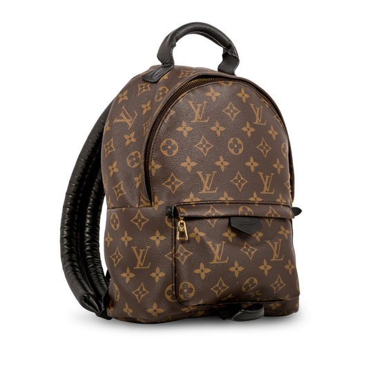 Louis Vuitton Palm Springs Backpack PM