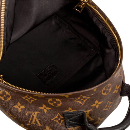 Louis Vuitton Palm Springs Backpack PM