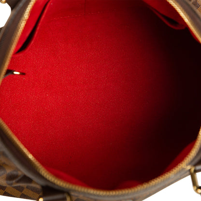 Louis Vuitton Trevi GM - Damier Ebene