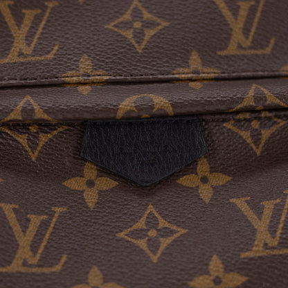Louis Vuitton Palm Spring PM