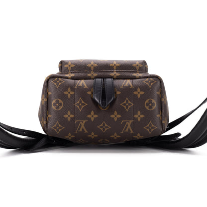 Louis Vuitton Palm Spring PM