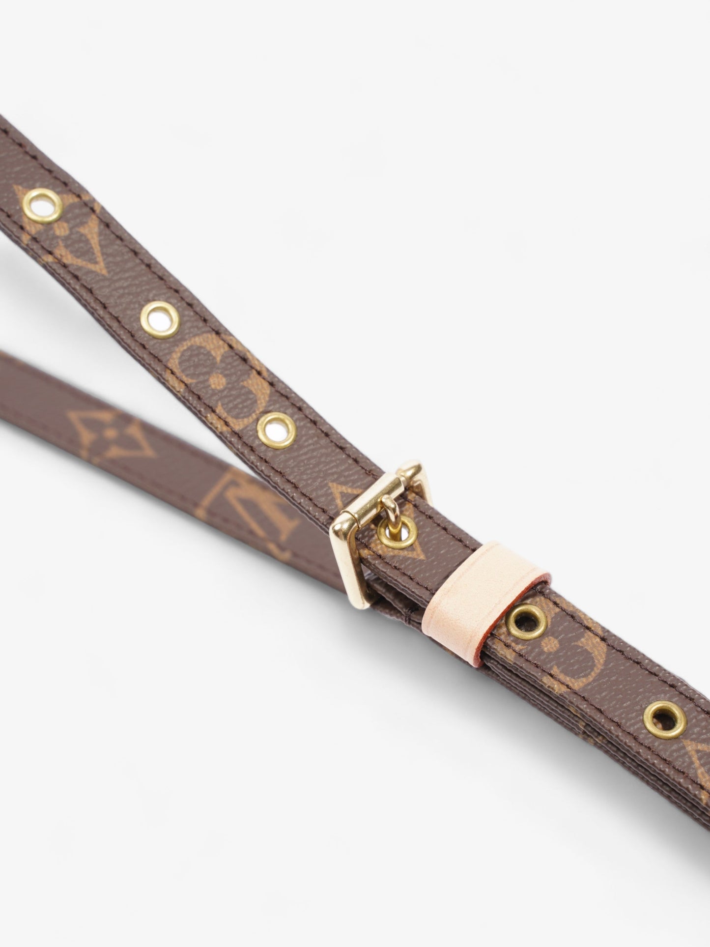 Louis Vuitton Bandoulière Monogram Coated Canvas