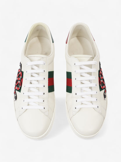 Gucci Ace Sneakers with Snake White / Red / Green Leather EU 43 UK 9