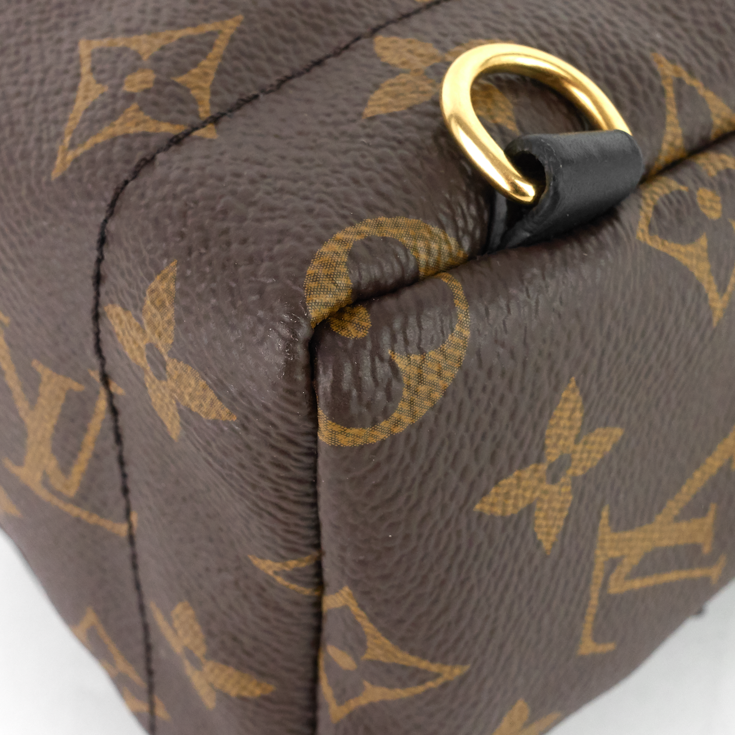 Louis Vuitto Palm Springs Mini Monogram Canvas Backpack