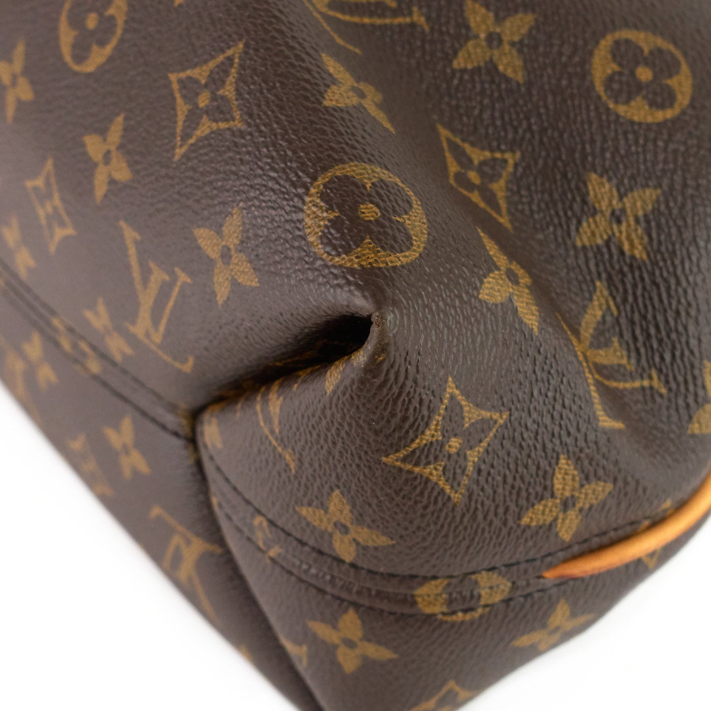 Louis Vuitto Sully PM Monogram Canvas Bag