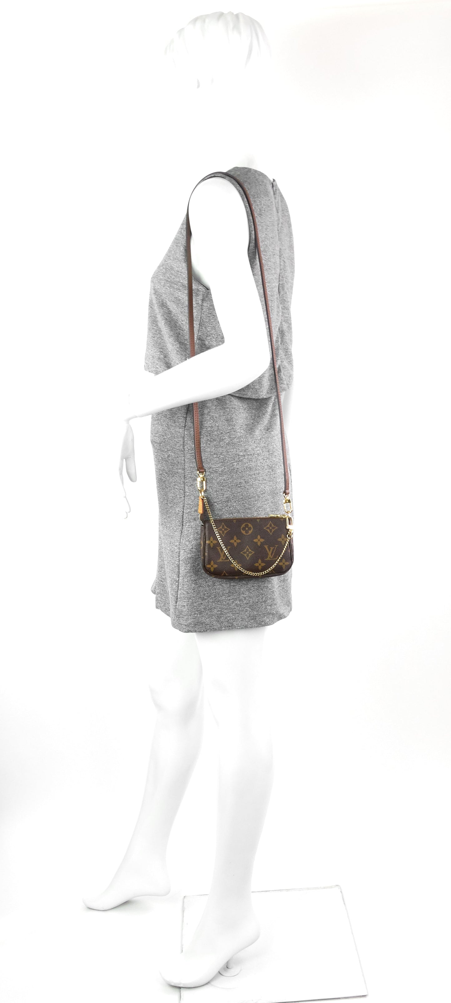 Louis Vuitto Pochette Accessoires Mini Monogram Canvas Bag