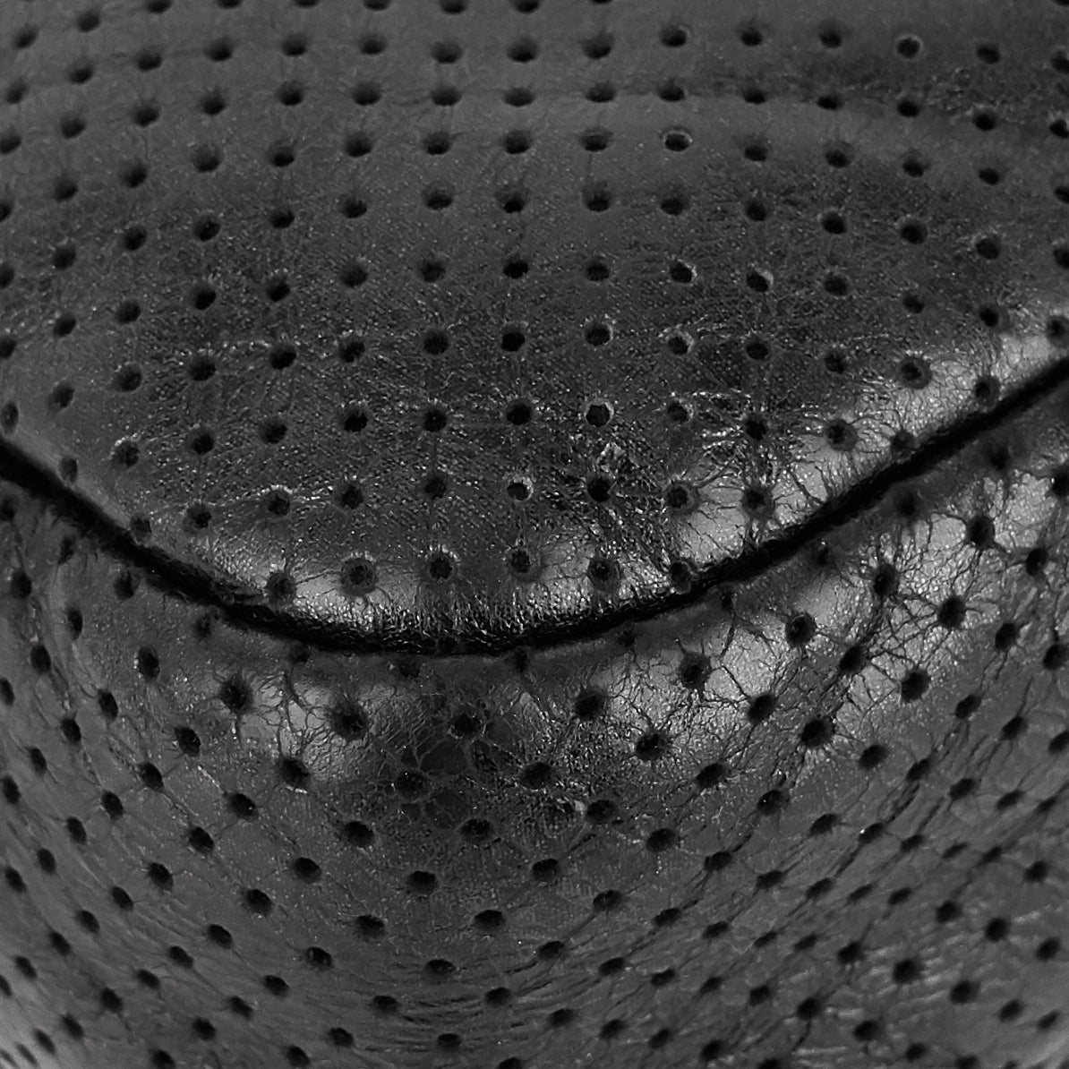 Chanel Perforated Reissue Lambskin Flap Bag