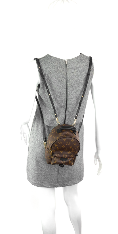Louis Vuitto Palm Springs Mini Monogram Canvas Backpack