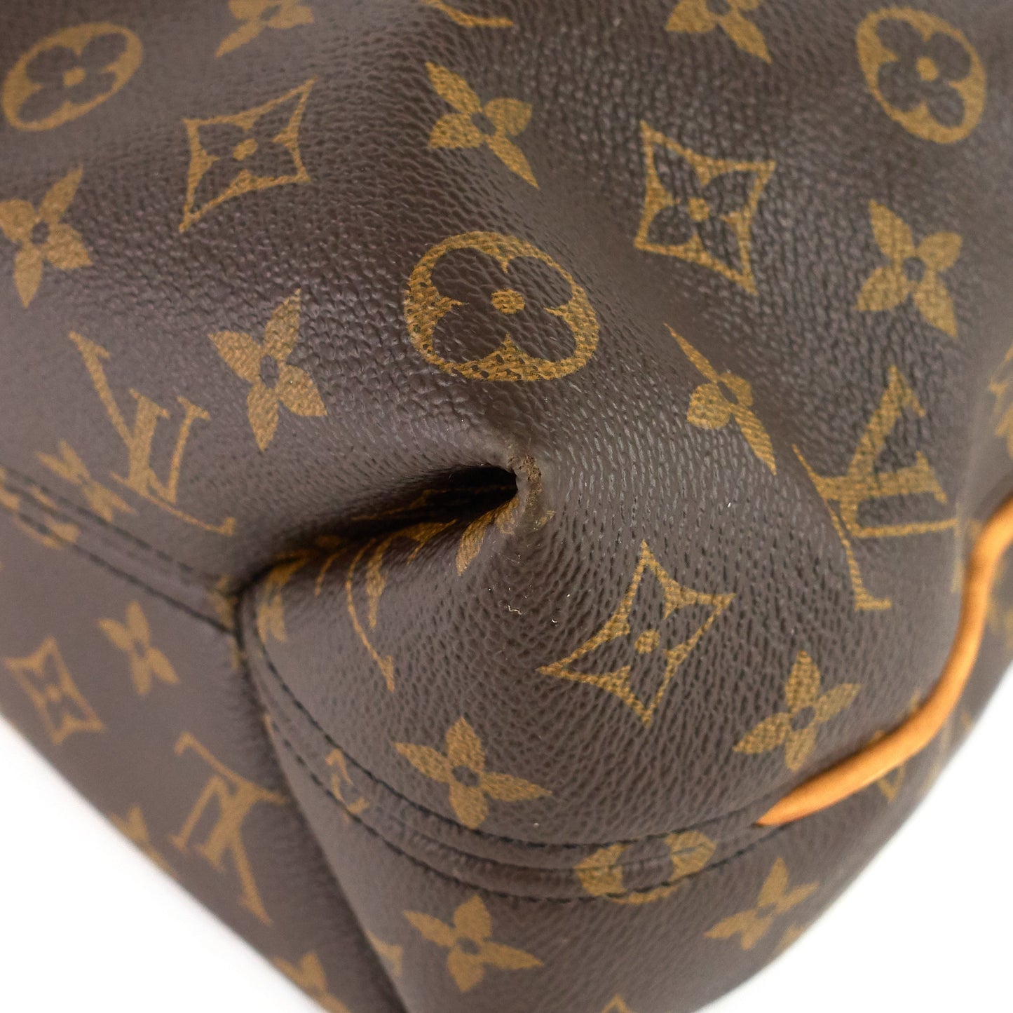 Louis Vuitto Sully PM Monogram Canvas Bag