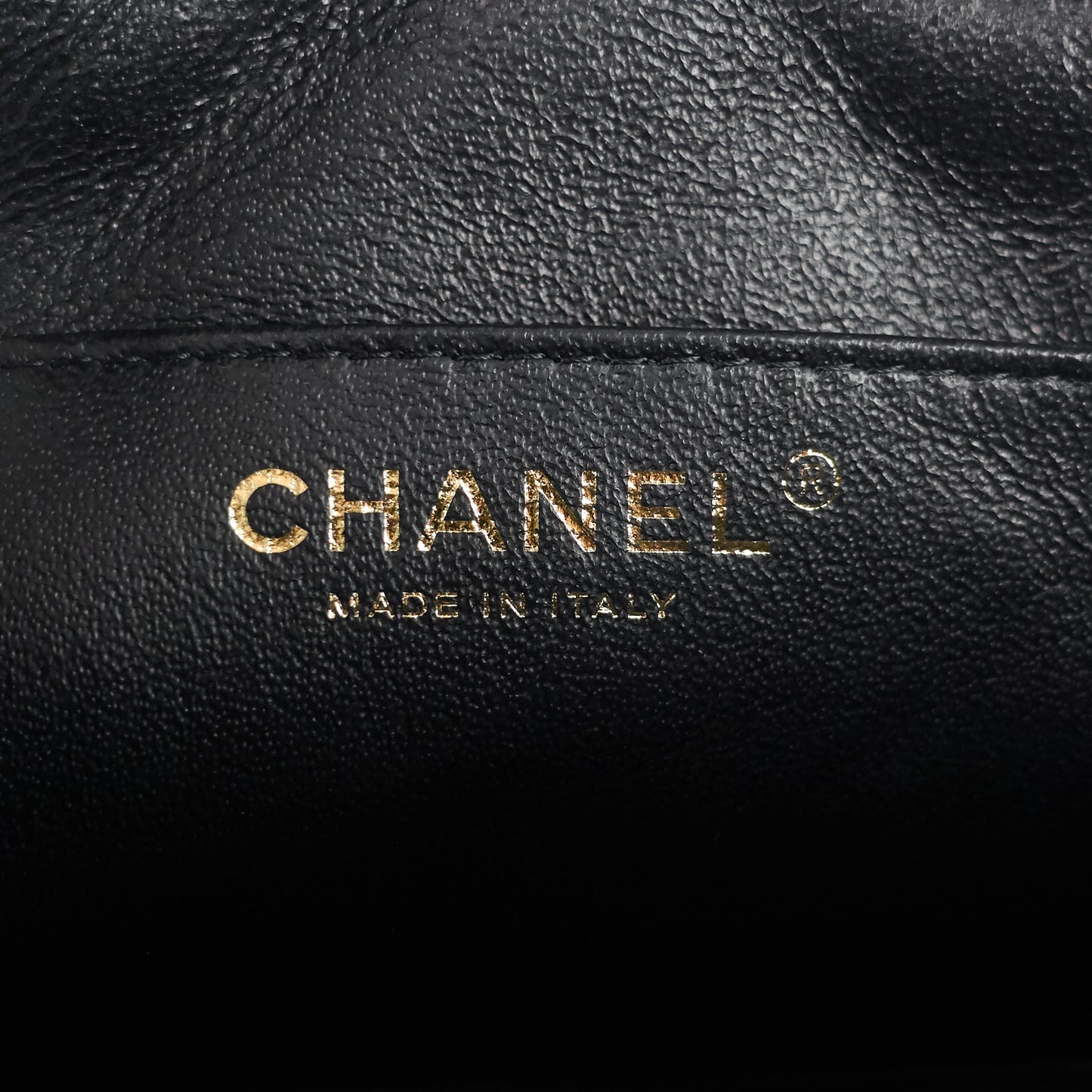 Chanel Camera Case Mini Caviar Leather Bag