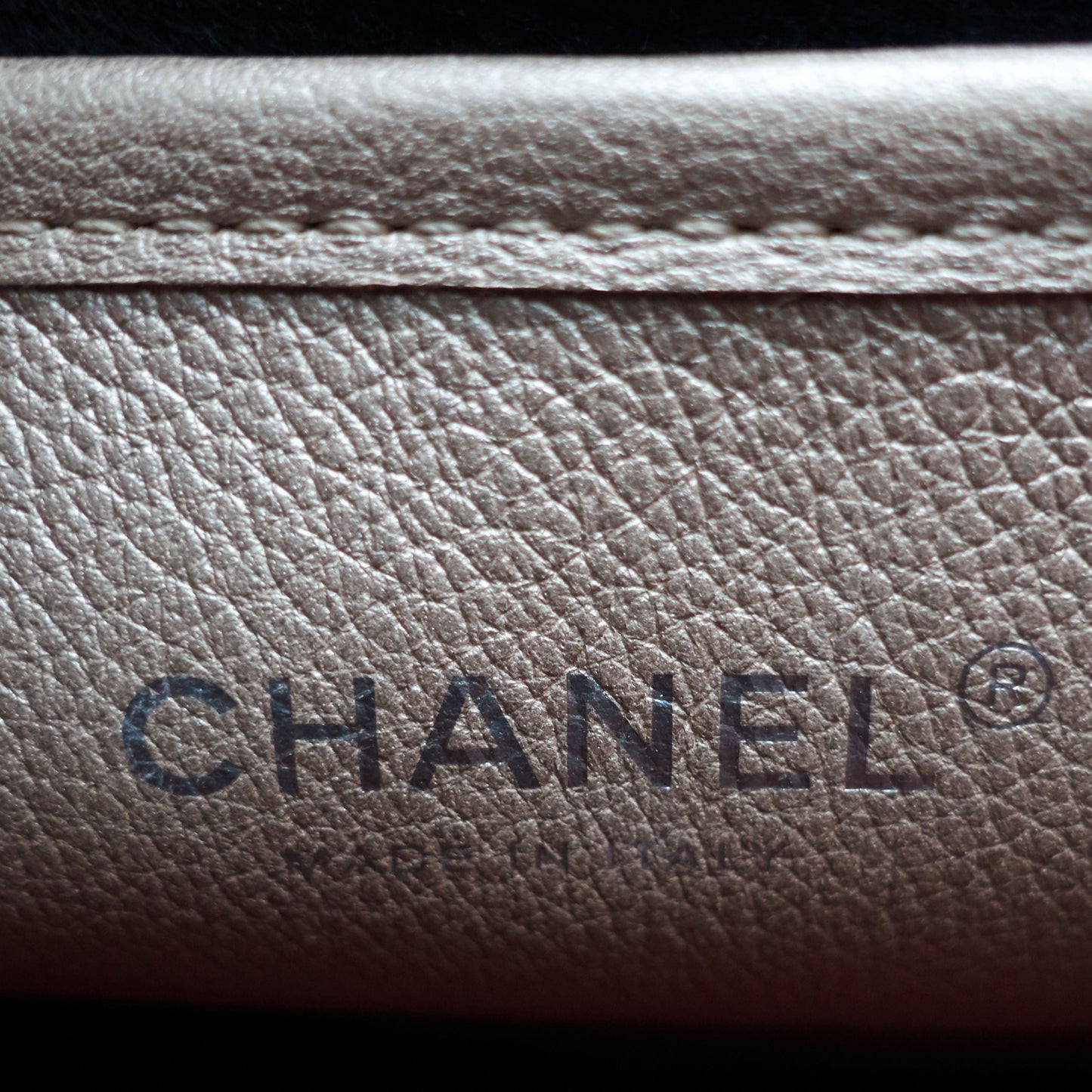 Chanel Jungle Stroll Small Quilted Leather Hobo Bag