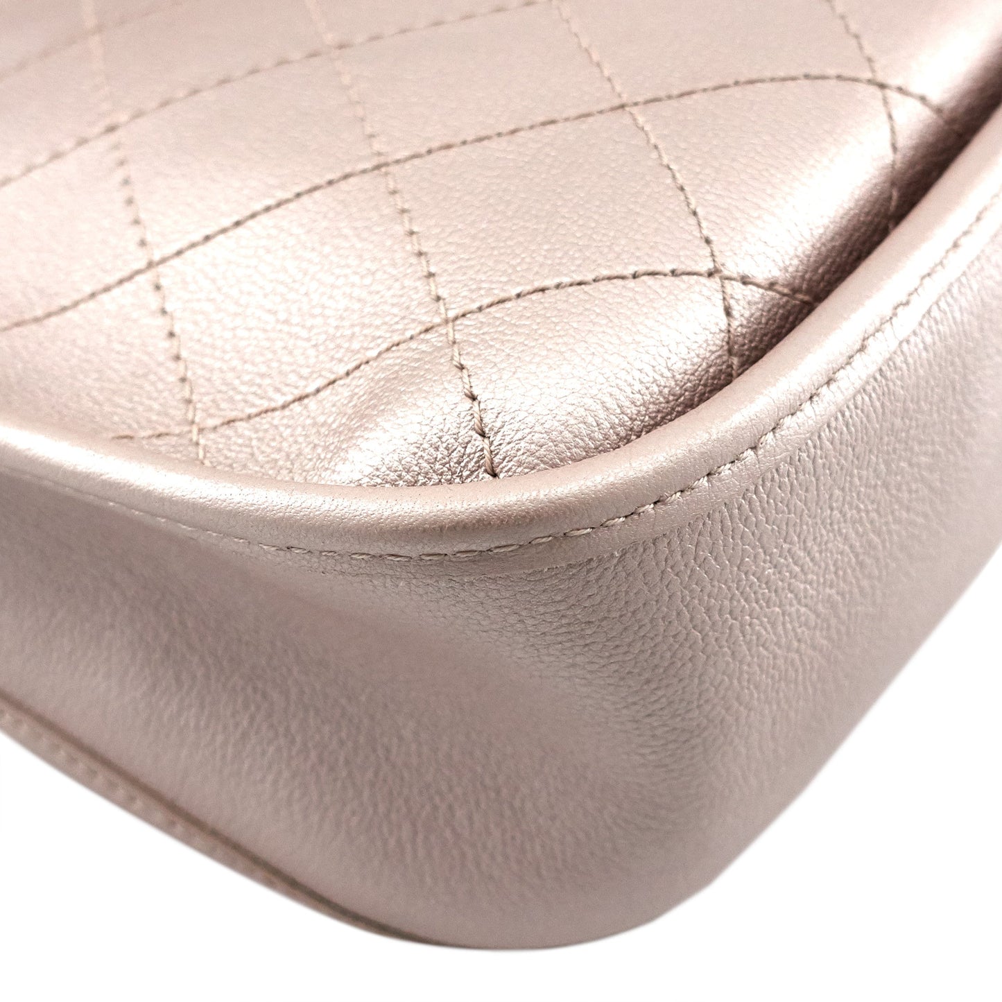 Chanel Jungle Stroll Small Quilted Leather Hobo Bag