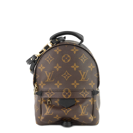 Louis Vuitto Palm Springs Mini Monogram Canvas Backpack