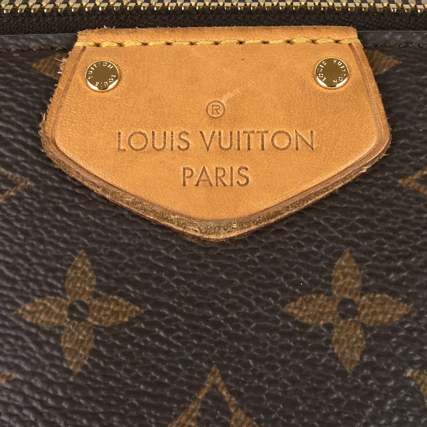 Louis Vuitto Turenne GM Monogram Canvas Bag