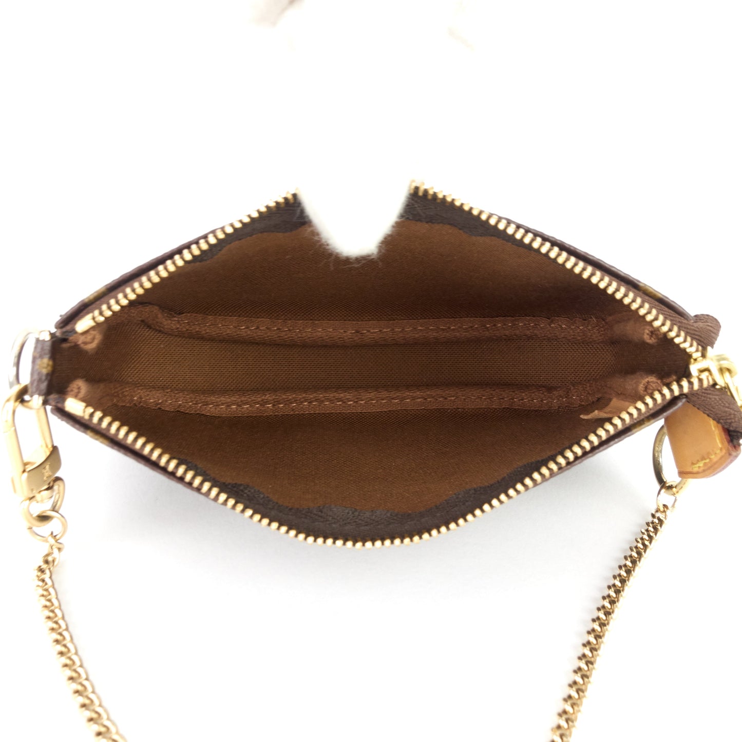 Louis Vuitto Pochette Accessoires Mini Monogram Canvas Bag