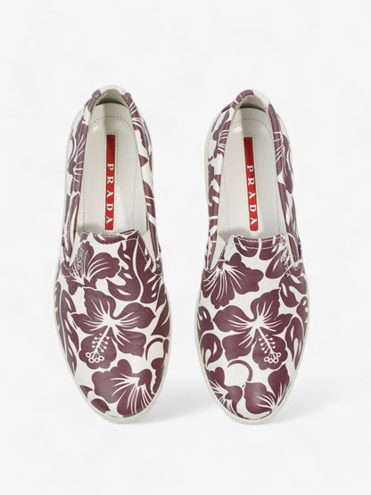 Prada Round Toe Vans Slip On White / Maroon Leather EU 37 UK 4