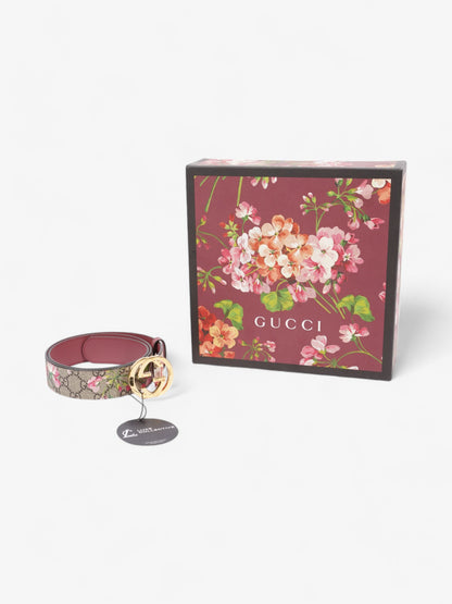 Gucci GG Bloom Belt Bloom / Gold Canvas 85cm / 34"