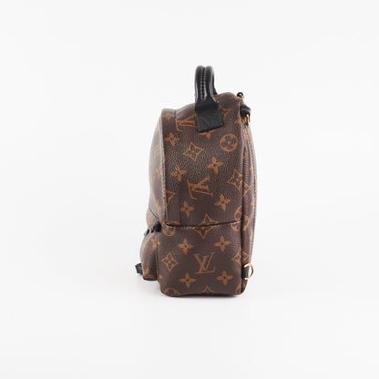Louis Vuitton Palm Spring Mini Monogram
