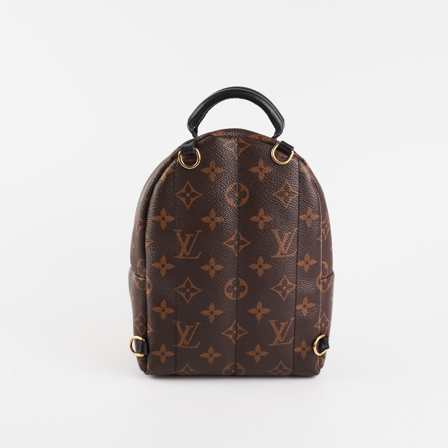 Louis Vuitton Palm Spring Mini Monogram