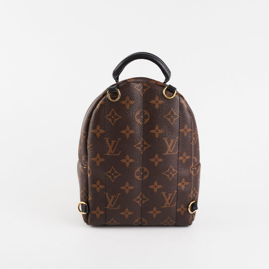 Louis Vuitton Palm Spring Mini Monogram