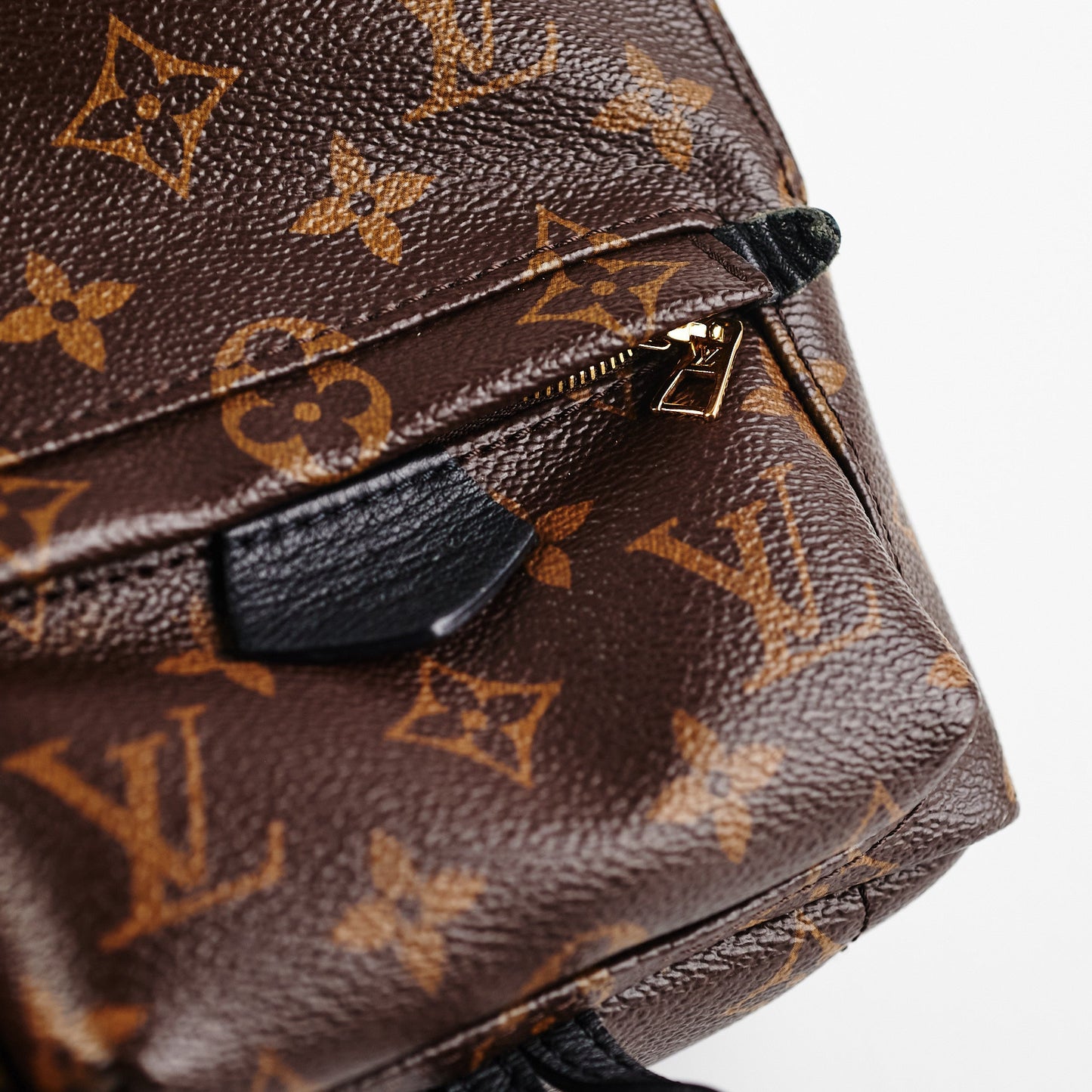 Louis Vuitton Palm Spring Mini Monogram