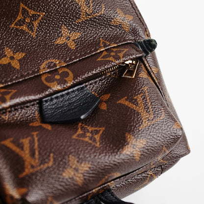 Louis Vuitton Palm Spring Mini Monogram