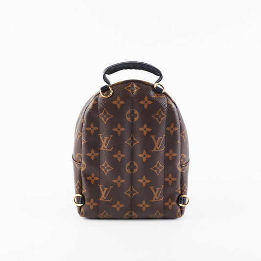 Louis Vuitton Palm Spring Mini Monogram