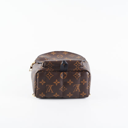 Louis Vuitton Palm Spring Mini Monogram