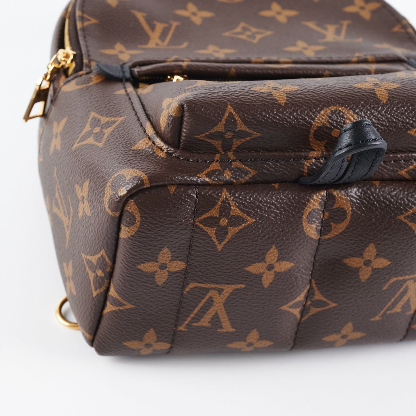 Louis Vuitton Palm Spring Mini Monogram