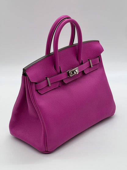 Hermes Birkin 25 Verso Magnolia Capucine Novillo Leather Palladium Hardware