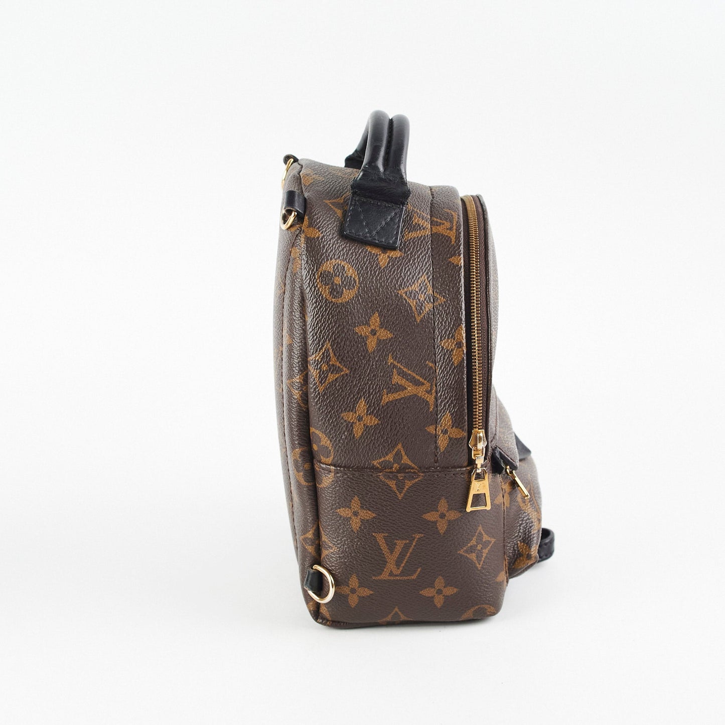 Louis Vuitton Palm Spring Mini Monogram