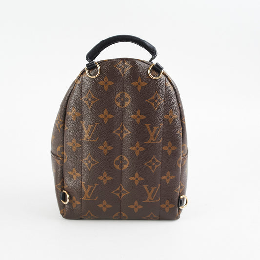 Louis Vuitton Palm Spring Mini Monogram