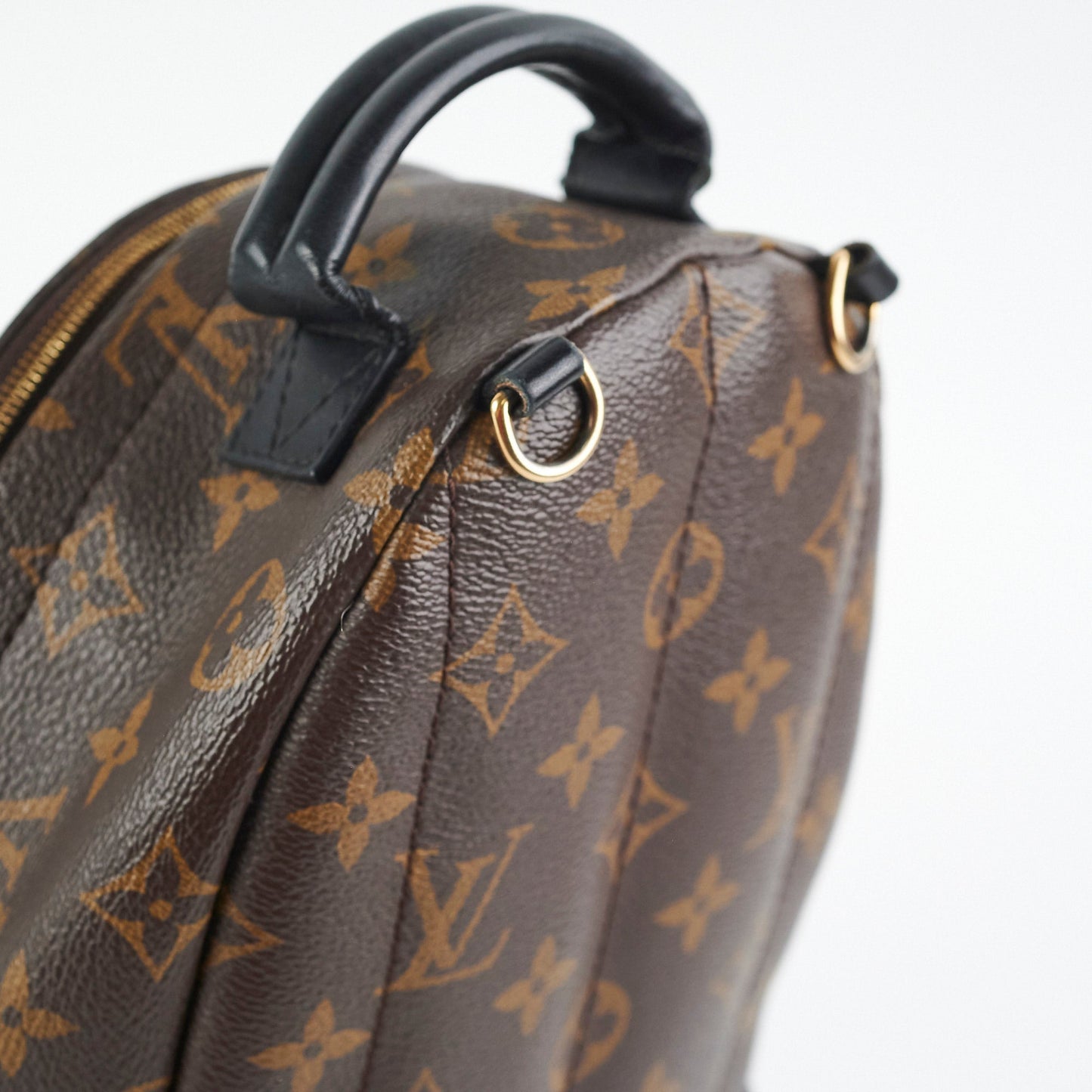 Louis Vuitton Palm Spring Mini Monogram