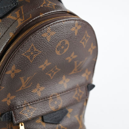 Louis Vuitton Palm Spring Mini Monogram