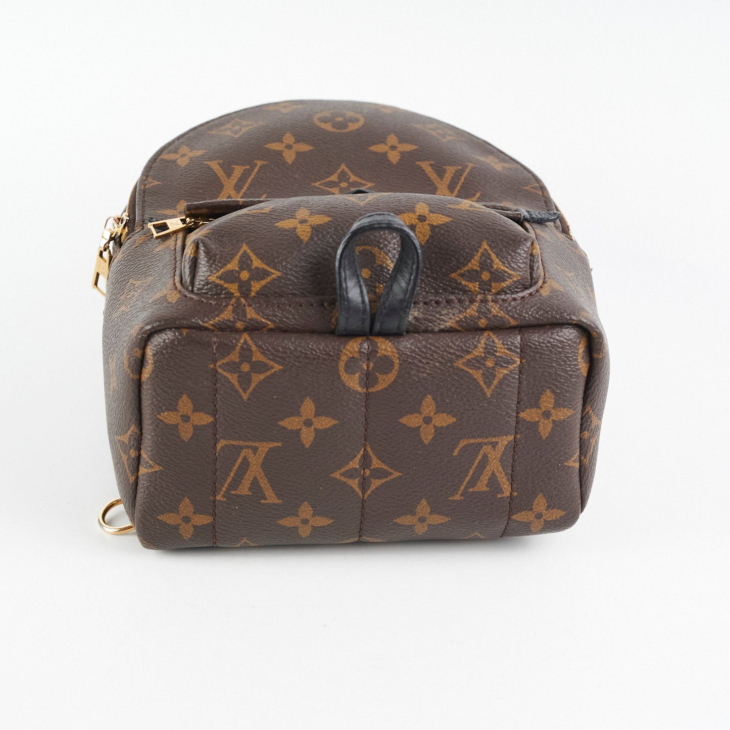 Louis Vuitton Palm Spring Mini Monogram