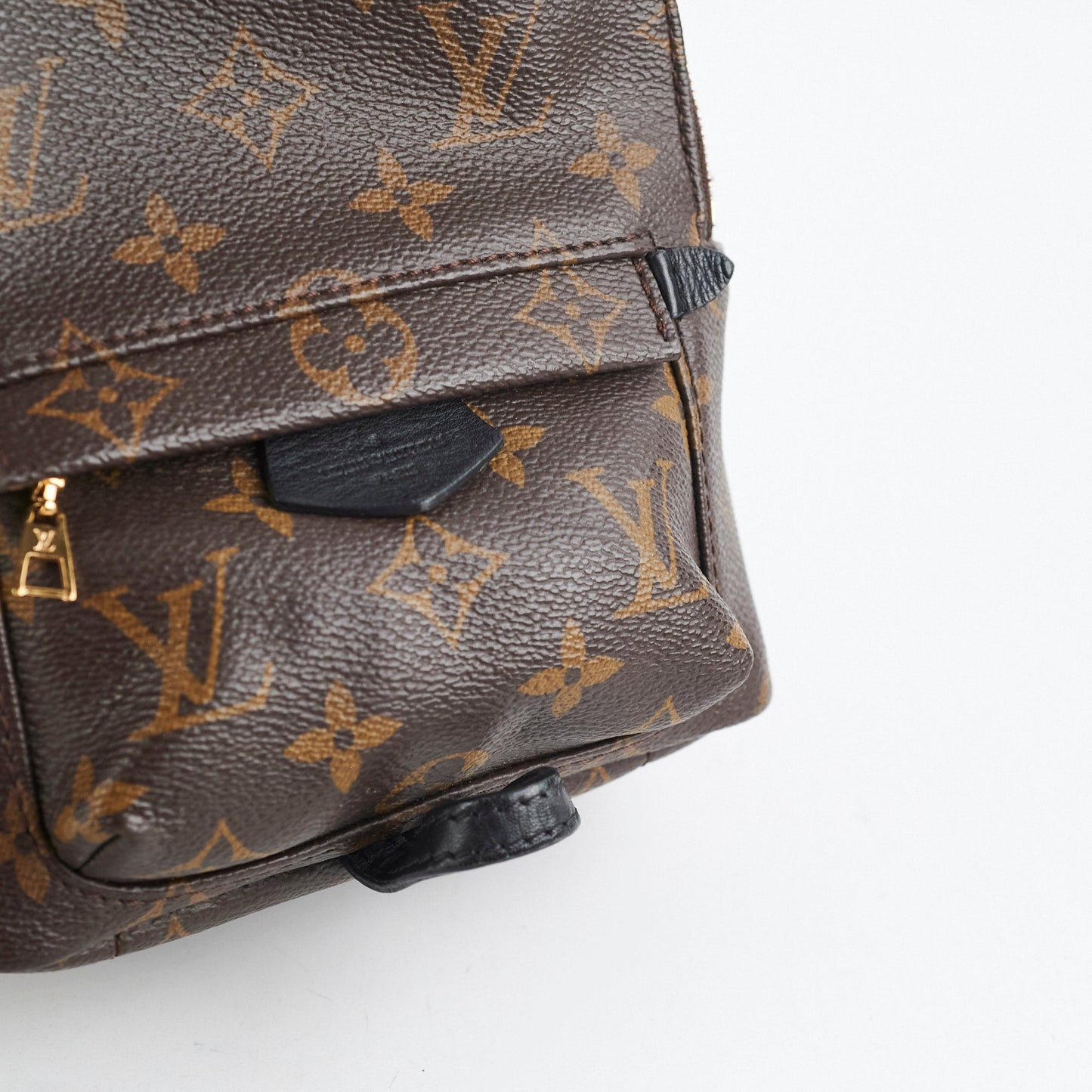 Louis Vuitton Palm Spring Mini Monogram