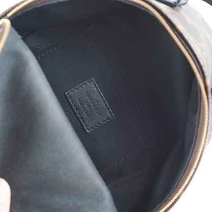 Louis Vuitton Palm Spring Mini Monogram