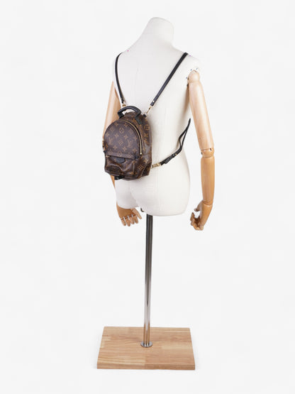 Louis Vuitton Palm Springs Monogram Coated Canvas Mini
