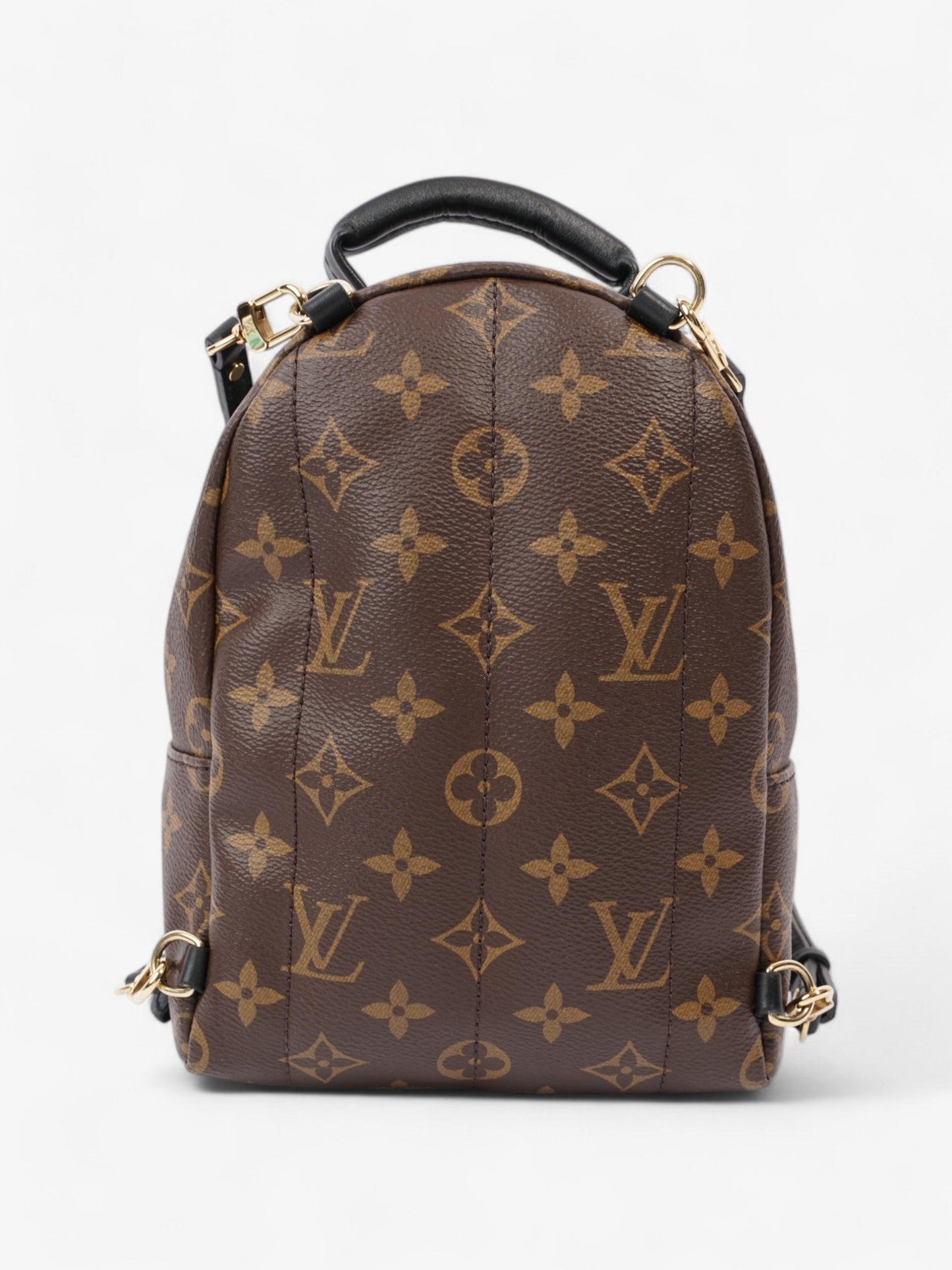Louis Vuitton Palm Springs Monogram Coated Canvas Mini