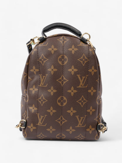 Louis Vuitton Palm Springs Monogram Coated Canvas Mini