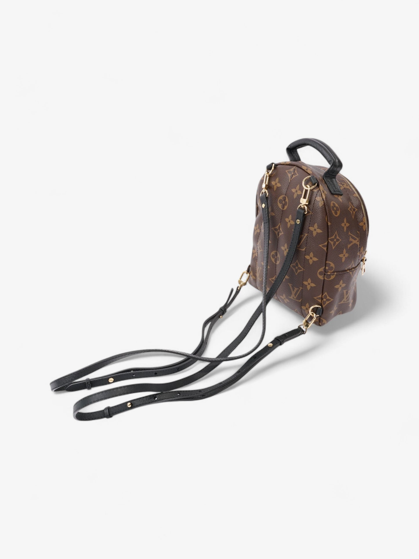 Louis Vuitton Palm Springs Monogram Coated Canvas Mini