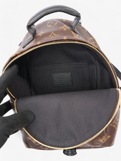 Louis Vuitton Palm Springs Monogram Coated Canvas Mini