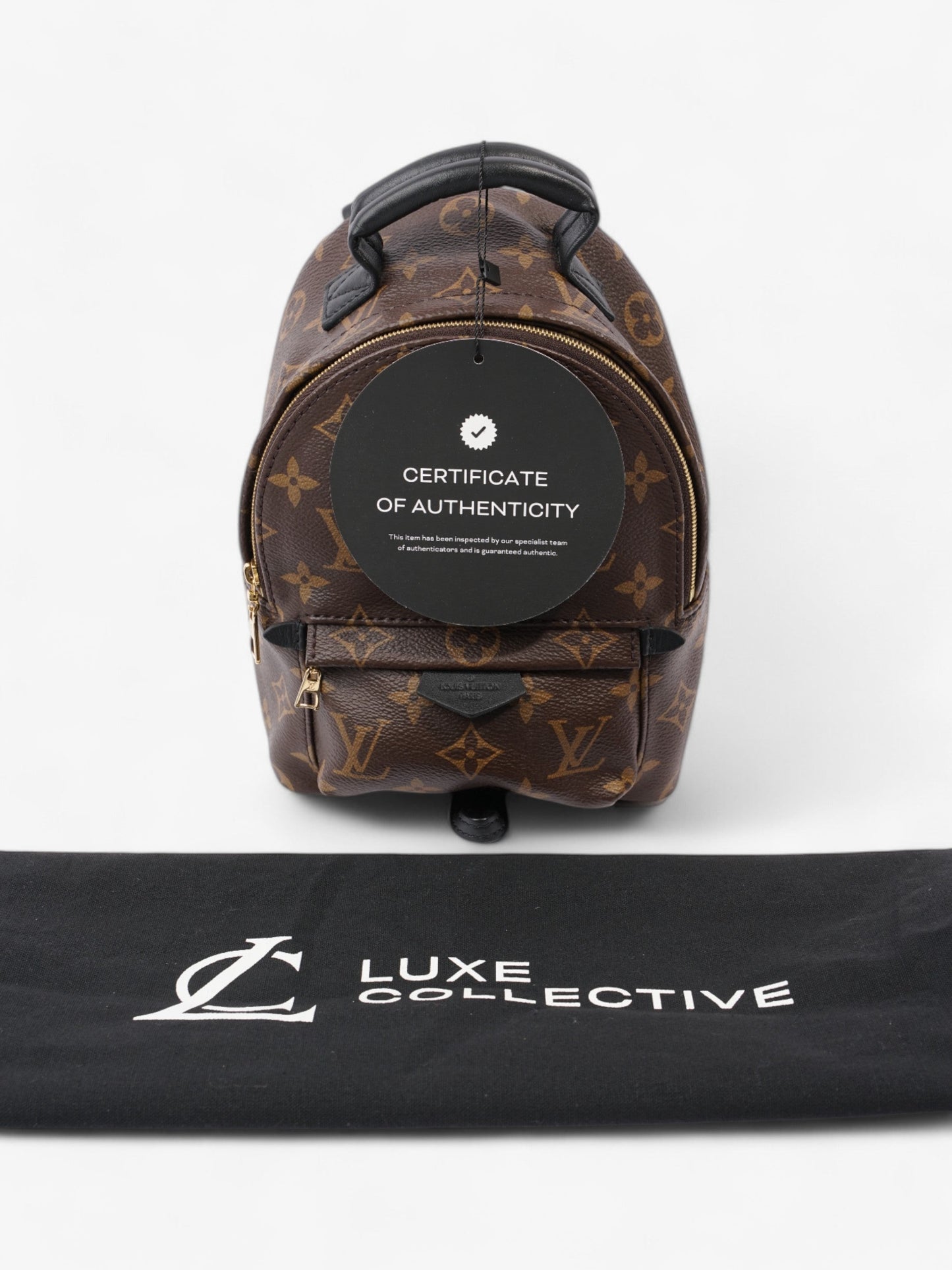 Louis Vuitton Palm Springs Monogram Coated Canvas Mini