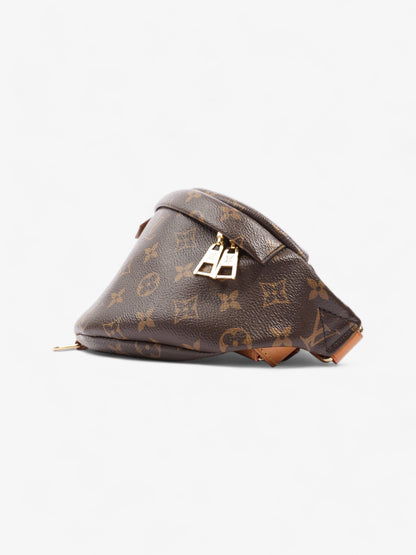 Louis Vuitton Bumbag Monogram Coated Canvas