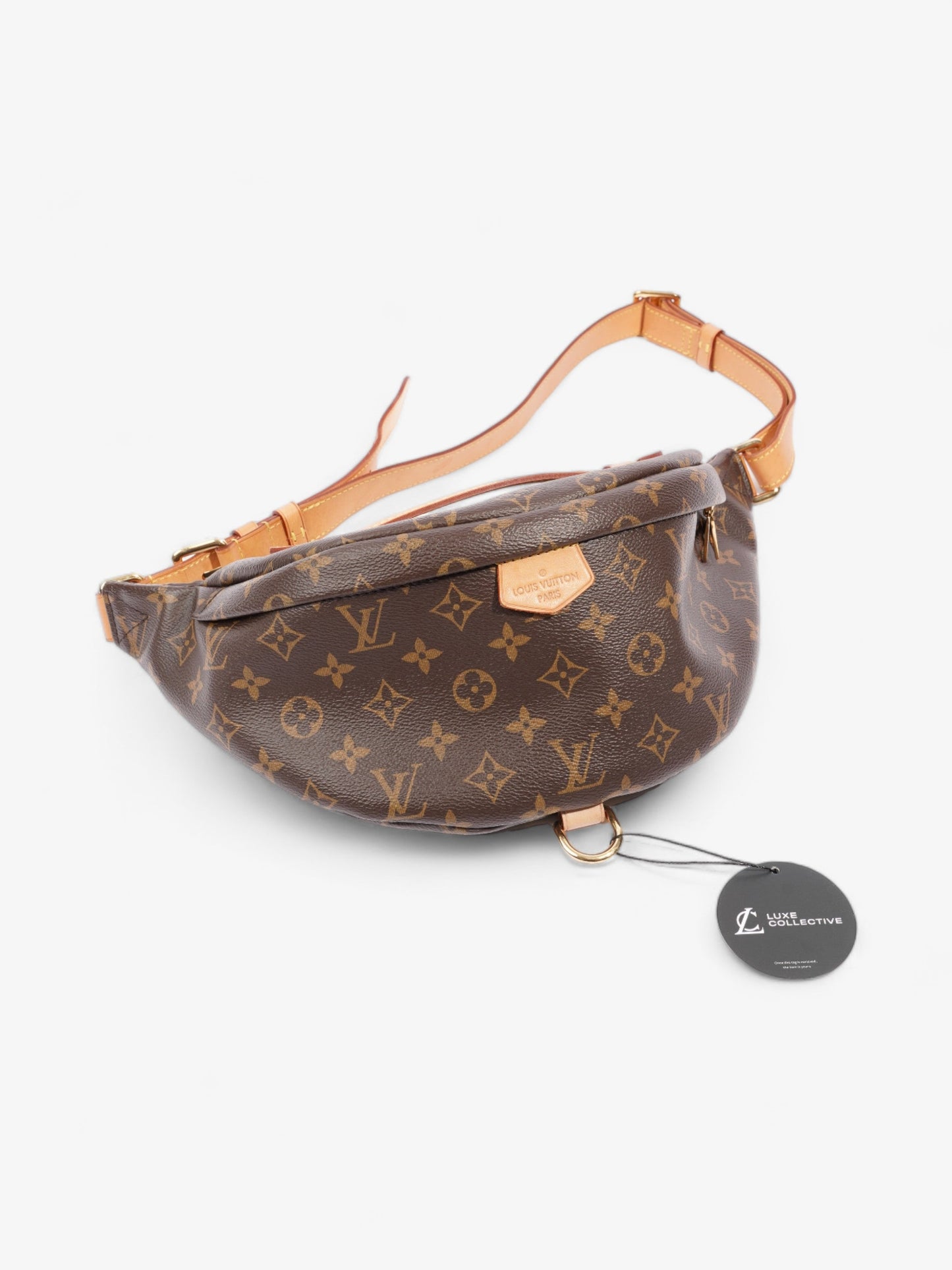 Louis Vuitton Bumbag Monogram Coated Canvas