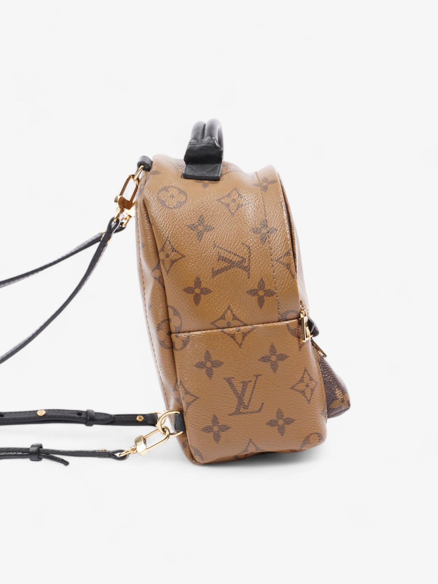 Louis Vuitton Palm Springs Monogram Coated Canvas Mini