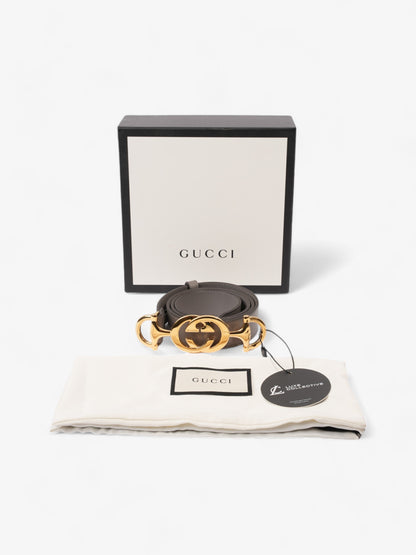 Gucci Horsebit Belt Grey / Gold Leather 85cm / 34"