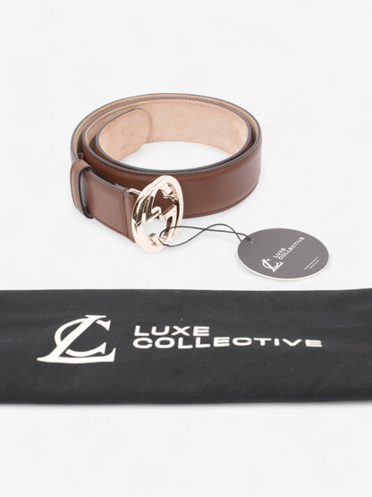 Gucci Blondie Belt Brown Leather 80cm / 32"