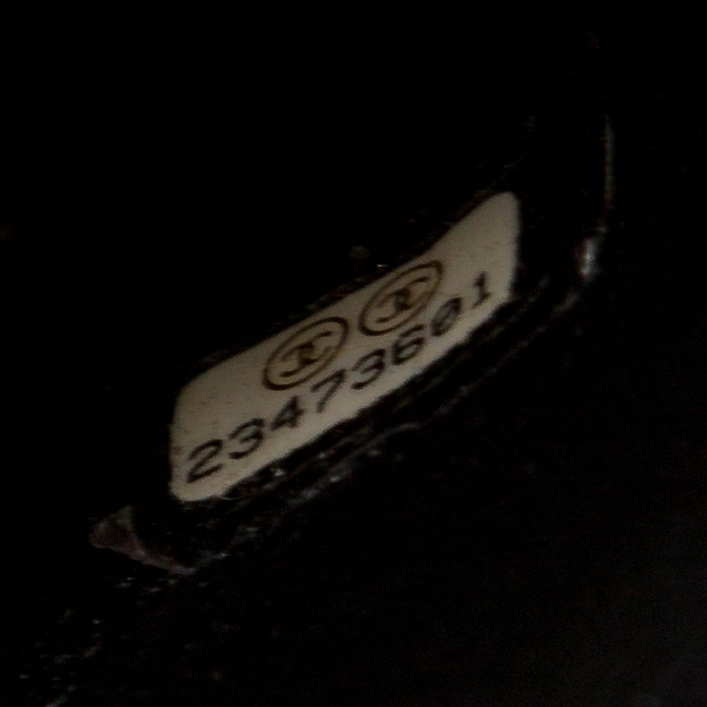 Chanel Coco Handle - Small - Lizard Handle